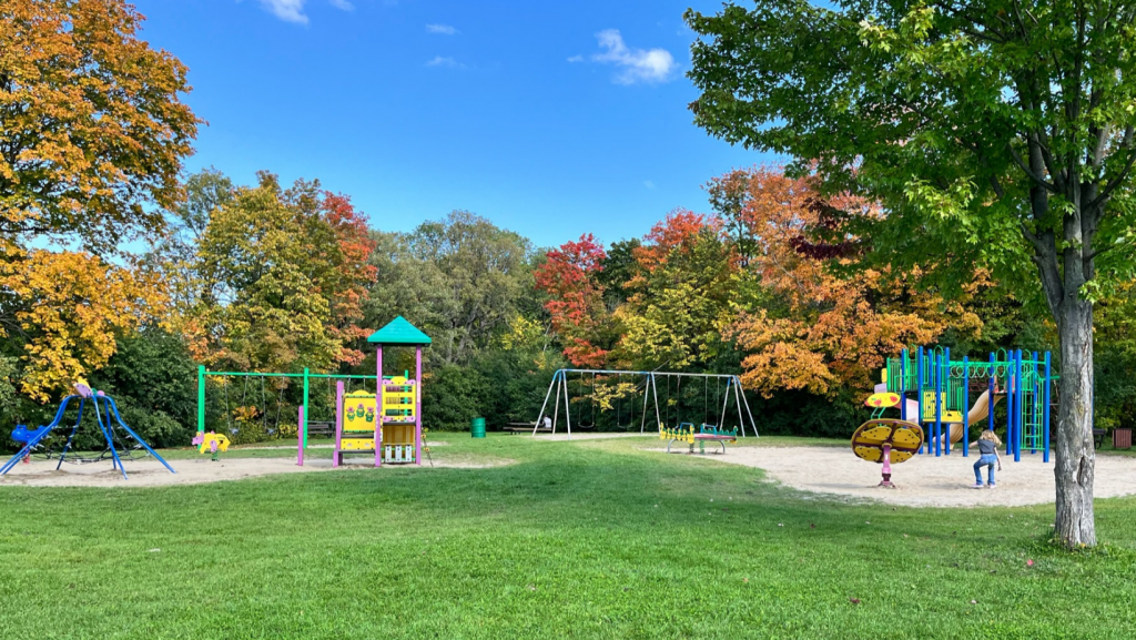 Image of the Coronation Park play structures and swings.